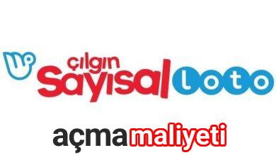 Sayısal Loto Bayiliği Aylık Geliri