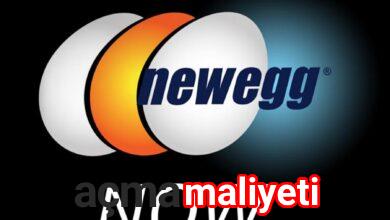 Newegg Para Kazanma