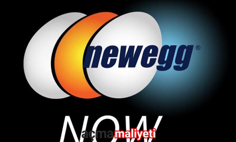 Newegg Para Kazanma