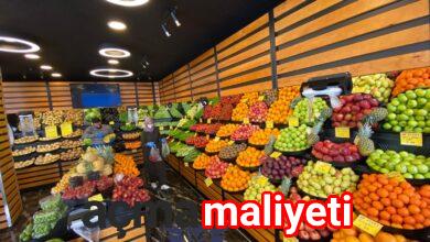 Manavın günümüzdeki önemi nedir
